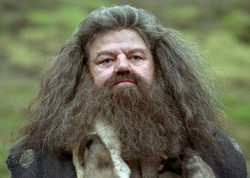 Hagrid Actor
