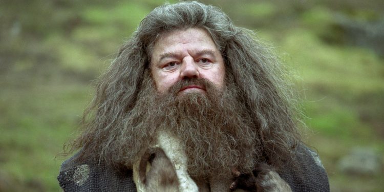 Hagrid Actor