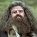 Hagrid Actor