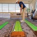 Office Putting Sets