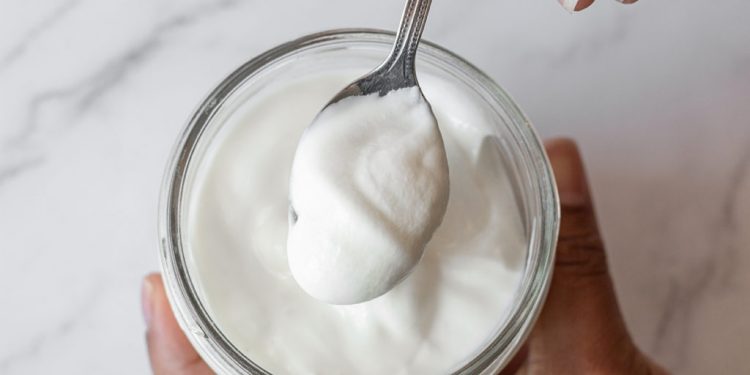 Can you Freeze Yogurt