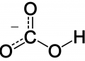 Hydrogen Carbonate