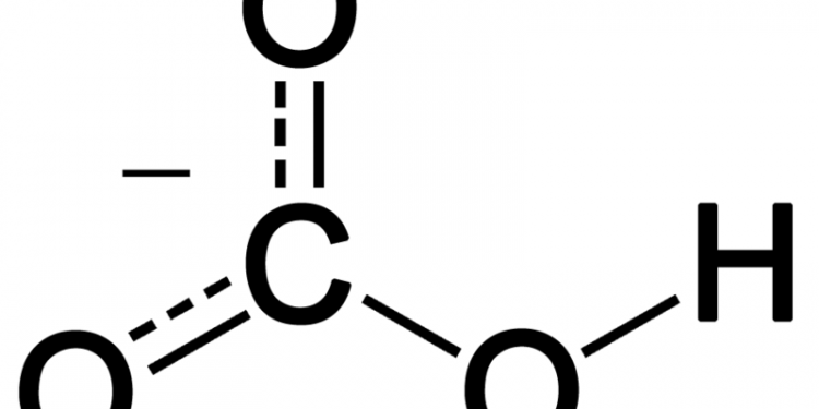 Hydrogen Carbonate