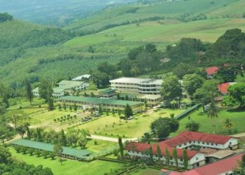 Mountain View College