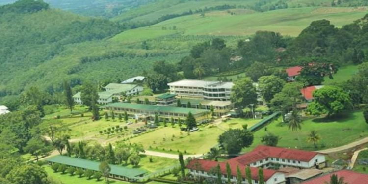 Mountain View College