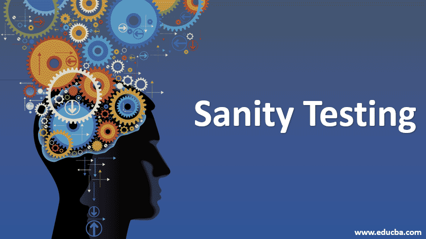 Sanity Check What Is A Sanity Check 