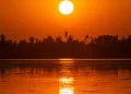 Sun Vector