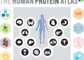 Human Protein Atlas