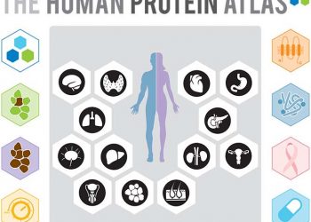 Human Protein Atlas