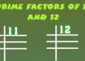 factors of 11