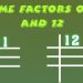 factors of 11