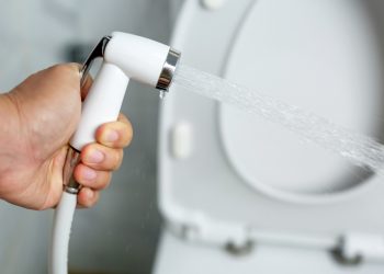 Bidet Conversion Kit