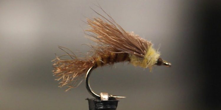 Emerger