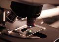Forensic Litigation