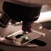 Forensic Litigation
