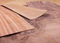Veneer Meaning