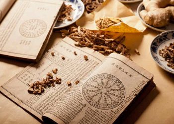 Experts Yuanfudaotobin Restworld