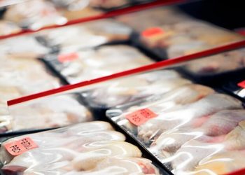 Freeze-Dried Chopped Chicken