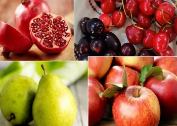 Wellhealthorganic.comweight-loss-in-monsoon-these-5-monsoon-fruits-can-help-you-lose-weight