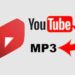 Ytmp3: The Fast and Easy Way to Convert YouTube Videos to MP3 Files
