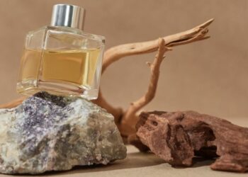 Nature's Perfumery Enhancing Living Spaces with Natural Scent