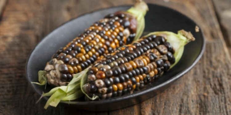 How Does Huitlacoche Animal Affect the Nutritional Value of Corn
