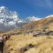 Annapurna Base Camp in Autumn: The Ultimate Photo Guide