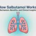 How Salbutamol Works Mechanism, Benefits, and Clinical Insights