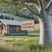 Gray Poplar Dropshipping Building a Sustainable and Profitable Brand in a Natural Niche